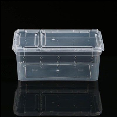 Переноска - отсадник для рептилий, 19×12.5×7.5 см