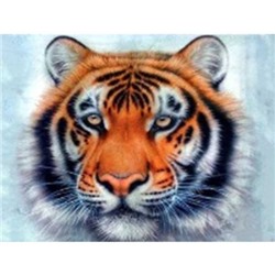Алмазная мозаика на подрамнике 40x50 Тигр / GA72743 /уп 30/полное заполнение
