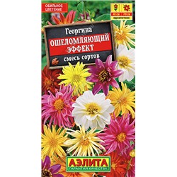 1428A Георгина Ошеломляющий эффект, смесь сортов 10 шт