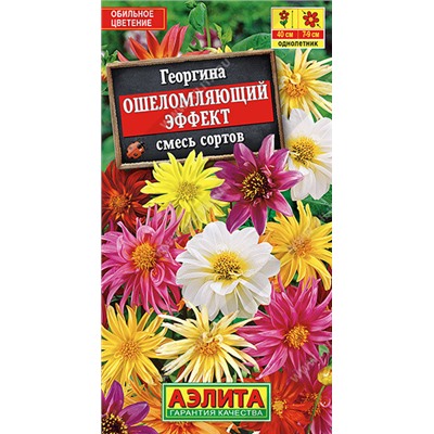 1428A Георгина Ошеломляющий эффект, смесь сортов 10 шт