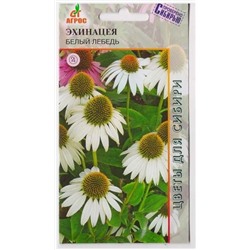 Эхинацея Белый лебедь (Код: 15799)