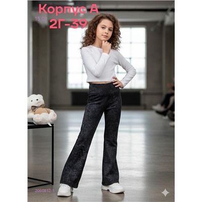 штаны 2050812-1