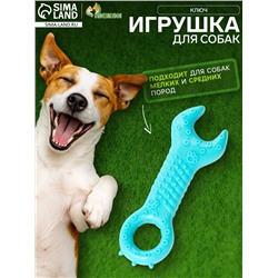 Массажная игрушка для собак «Ключ» 14 см, TPR, МИКС