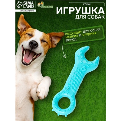 Массажная игрушка для собак «Ключ» 14 см, TPR, МИКС