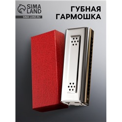 Губная гармошка Music Life T16-2 тремоло, с футляром