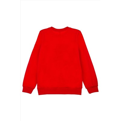 Свитшот PLAYTODAY, 933865