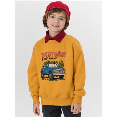 СВИТШОТ ДЛЯ МАЛЬЧИКОВ 123487