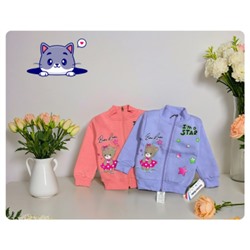 Толстовка утепленная