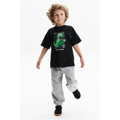 Футболка для мальчиков PELICAN, 1232807