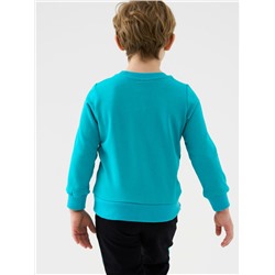 Толстовка трикотажная для мальчиков