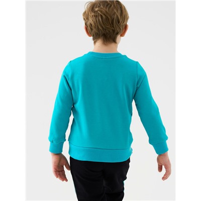 Толстовка трикотажная для мальчиков