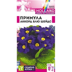Примула Аккорд Блю шейдс (Алтай)