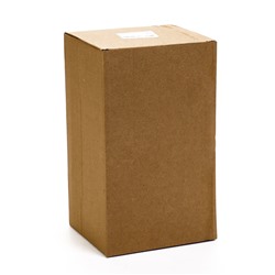 Садовая фигура из полистоуна «Бабушка с гусем», 10×10×20 см, Greengo