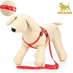 Комплект «Классика», капрон, поводок 120×1 см, ОГ 21-35 см, красный
