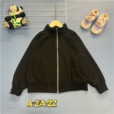 Толстовка 1981364-3