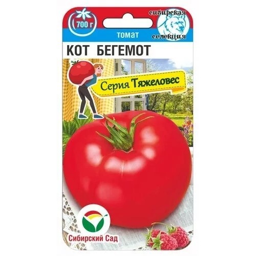 Томат Кот Бегемот (Код: 89883)
