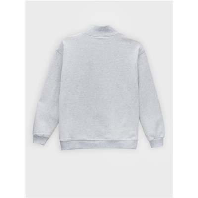 ТОЛСТОВКА ДЛЯ МАЛЬЧИКОВ 123448