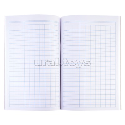 Книга учета бухгалтерская A4, 96 л пустографка, офсет 55-60 г/м², 90% белизна, обложка из немелованного картона 220 г/м² + корешок б/в /13940