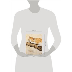 Эксмо "Тетрадь для иероглифов (рыжий котик)"
