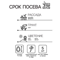 Семена комнатных цветов Пеларгония "Саммертайм", Смесь F1, 5 шт.