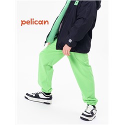 PELICAN Брюки BFPQ3321U