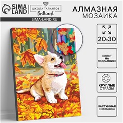 Алмазная мозаика на подрамнике с частичным заполнением «Корги», 20×30 см
