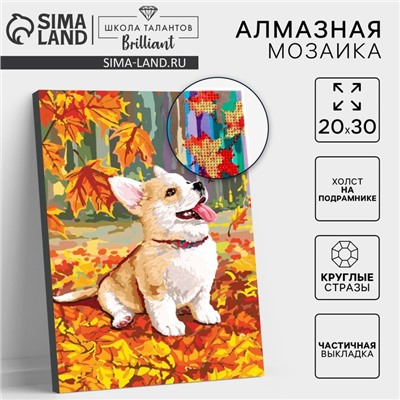 Алмазная мозаика на подрамнике с частичным заполнением «Корги», 20×30 см