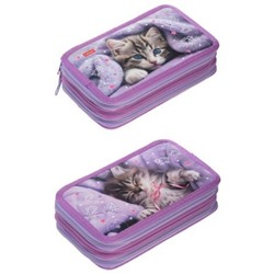 Пенал 6-ти ств. 190х110 мм "Что снится котикам?" с табл.умножения (089081) 48110 Хатбер