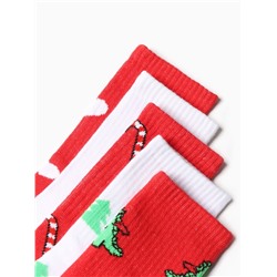 Носки женские новогодние набор 5 пар KAFTAN «Праздник к нам приходит», размер 36-39 (23-25 см)