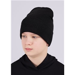 CLEVER Шапка