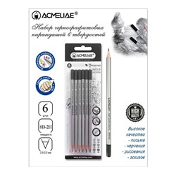 Набор карандашей  ACMELIAE ArtMate  6 шт. (2H,HB,2B,4B,6B,8B) блистер
