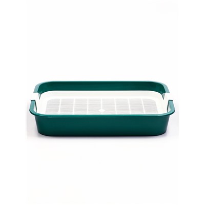 Туалет для кошек «Белла мини», 35×26×6 см, с сеткой, пластик, зелёный