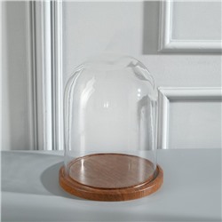Стеклянный купол-клош на деревянной подставке «Венсан», 20×15 см, коричневый