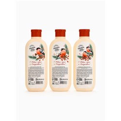 Подарочный набор косметики новогодний «С Новым годом и Рождеством», гель для душа, шампунь и пена для ванны 3×250 мл, РЯБИНА