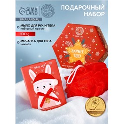 Новогодний подарочный набор косметики «Зимнее чудо»: мыло для рук кусковое 100 г и мочалка для тела, URAL LAB