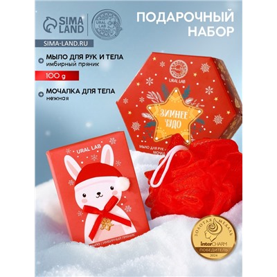 Новогодний подарочный набор косметики «Зимнее чудо»: мыло для рук кусковое 100 г и мочалка для тела, URAL LAB