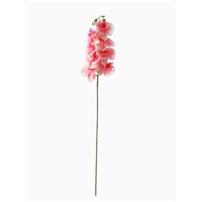 Цветы искусственные «Орхидея Изящная», 10×100 см, розовые