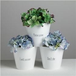 Набор кашпо 3 в 1 Please grow, 0.8 л, 11×12 см