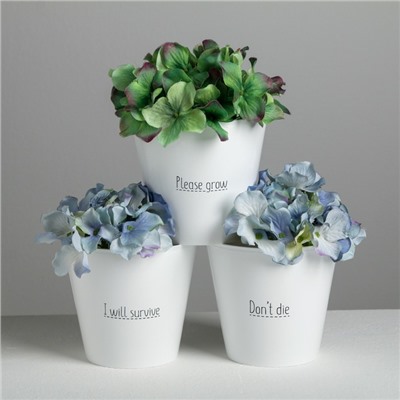 Набор кашпо 3 в 1 Please grow, 0.8 л, 11×12 см