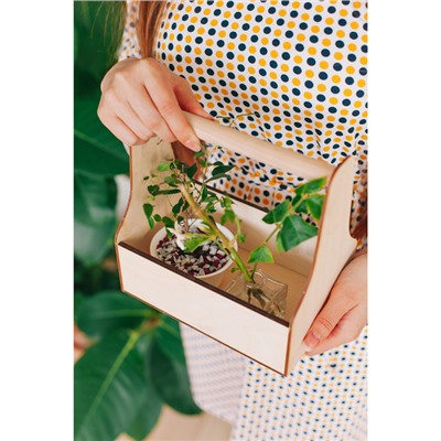 Подарочный ящик «Стелла», 20×12.5×20 см, деревянный, с ручкой