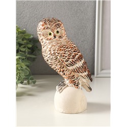 Фигурка гипс «Сова на камне», 18×10 см, мультиколор