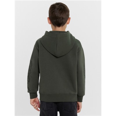 ТОЛСТОВКА ДЛЯ МАЛЬЧИКОВ 363332/1