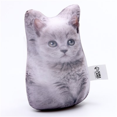 Антистресс игрушка «Котёнок серый»