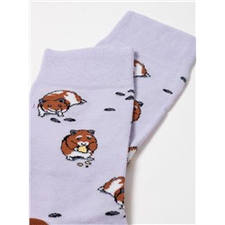 БРЕСТСКИЕ Носки 4200