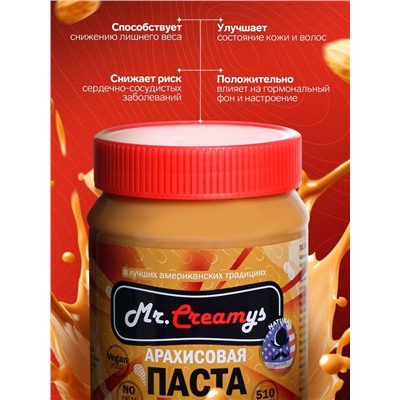 Арахисовая паста «Mr.Creamys» классическая, 510 г