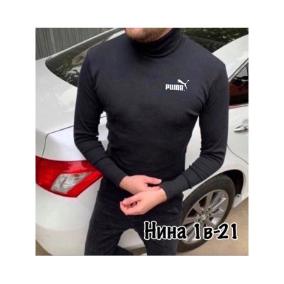 Водолазка #22294079