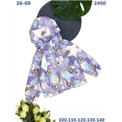Ветровка 2450 фиолетовый