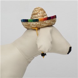 Шляпа для животных, размер S, 16×8×7 см