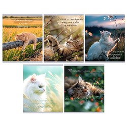 Тетрадь  48л клетка "Расслабься" глянц.лам ТК489642 Listoff