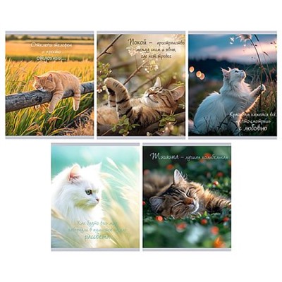 Тетрадь  48л клетка "Расслабься" глянц.лам ТК489642 Listoff